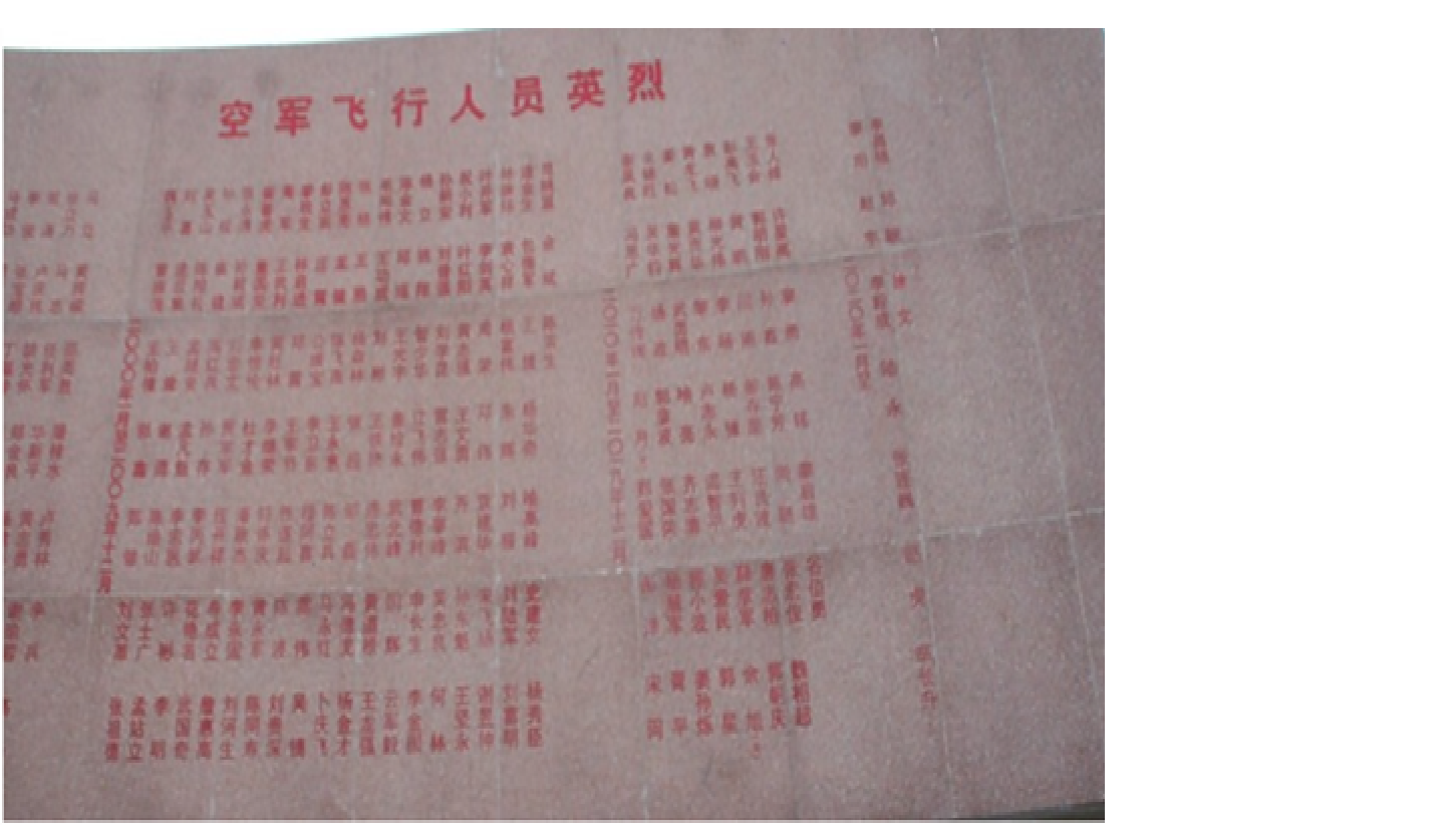 前军工人士:偷工减料致2021年直-10武装直升机摔机 1 0217name